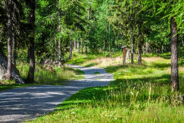 Landelijke weg in het bos, argientere, Frankrijk — Stockfoto