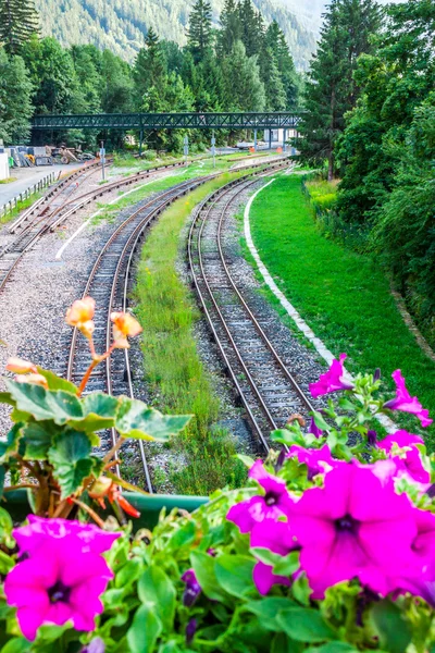 Železniční tratě na venkovské scéně — Stock fotografie