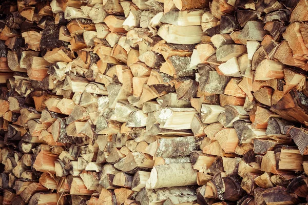 Madera de árbol cortada deforestada en el bosque —  Fotos de Stock