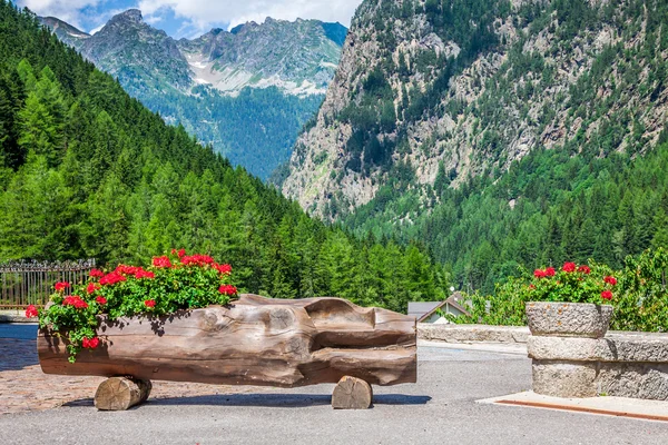 Gatan dekorerad av blommor, chamonix mont blanc, Frankrike — Stockfoto