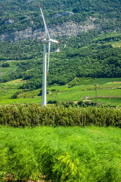 Windmill, group of aligned windmills for electric power generati — Stock Photo, Image