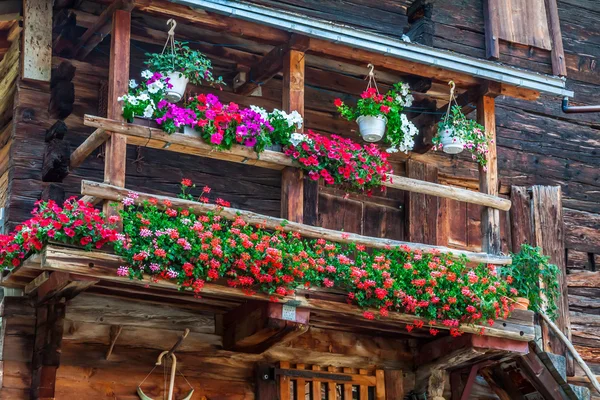 Maisons en bois à Fiesch - Suisse — Photo