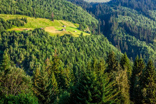 Zomer berglandschap rond gletsch, Zwitserland — Stockfoto