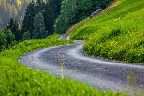 Estrada panorâmica através da floresta verde na Suíça — Fotografia de Stock