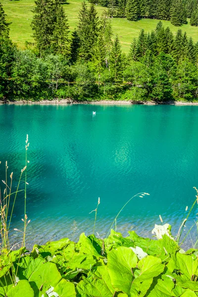 Schöne Aussicht Bergsee. steg, malbun in lichtenstein, europ — Stockfoto