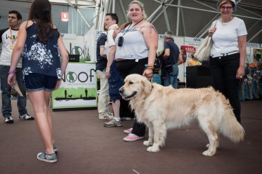 ve köpekler, fiera Milano sergi quattrozzampe