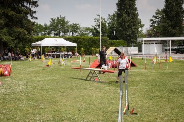 ve köpekler, fiera Milano sergi quattrozzampe