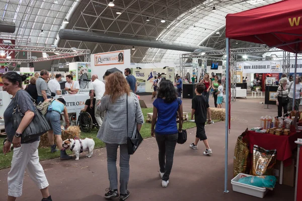 And dogs at Quattrozzampe in fiera exhibition in Milan — Stock Photo, Image