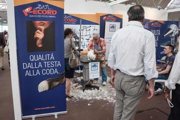 Y perros en la exposición Quattrozzampe in fiera en Milán —  Fotos de Stock