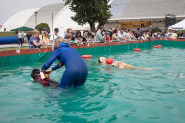 ve köpekler, fiera Milano sergi quattrozzampe