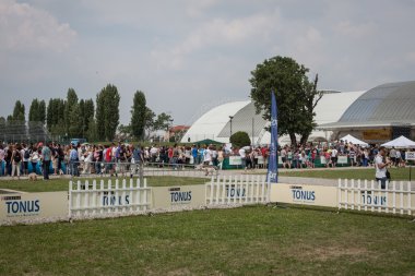 ve köpekler, fiera Milano sergi quattrozzampe