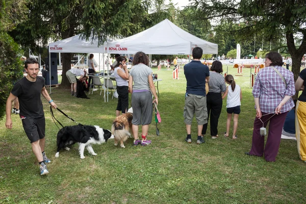 E cani a Quattrozzampe in fiera a Milano — Foto Stock