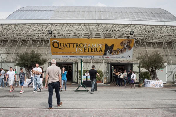 And dogs at Quattrozzampe in fiera exhibition in Milan — Stock Photo, Image