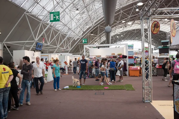 And dogs at Quattrozzampe in fiera exhibition in Milan — Stock Photo, Image