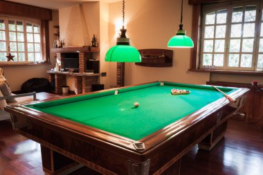 Bilardo masası ile sahte kaplan Deri Halı