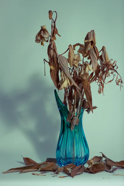 Dried flowers in a vase — Stock Photo, Image