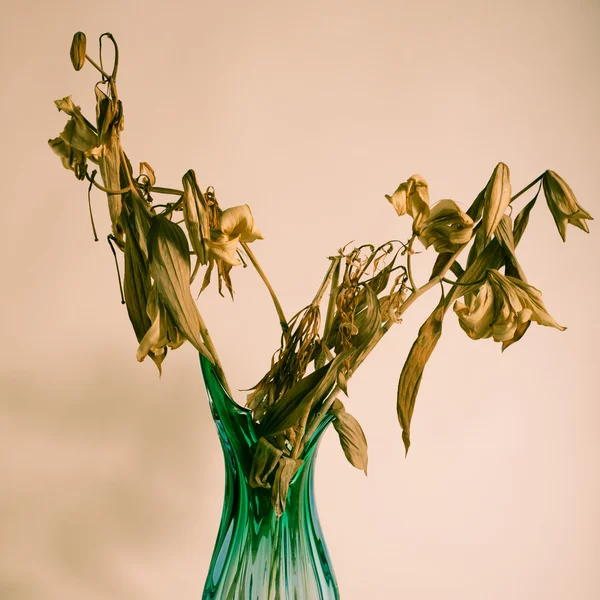 Gedroogde bloemen in een vaas — Stockfoto