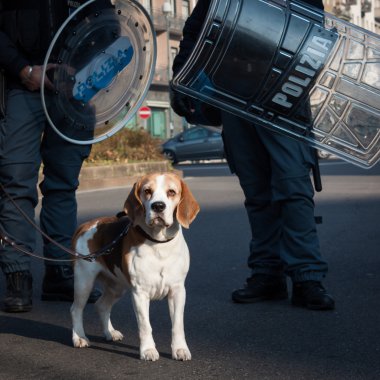 protestocu'nın köpeği ve polis Milano, İtalya