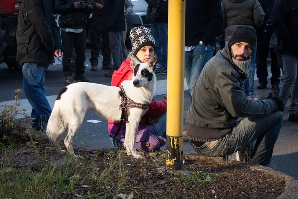 Manifestantes com seu cão em Milão, Itália — Fotografia de Stock