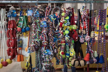 evde beslenen hayvan toys uluslararası köpekler sergide Milan, İtalya