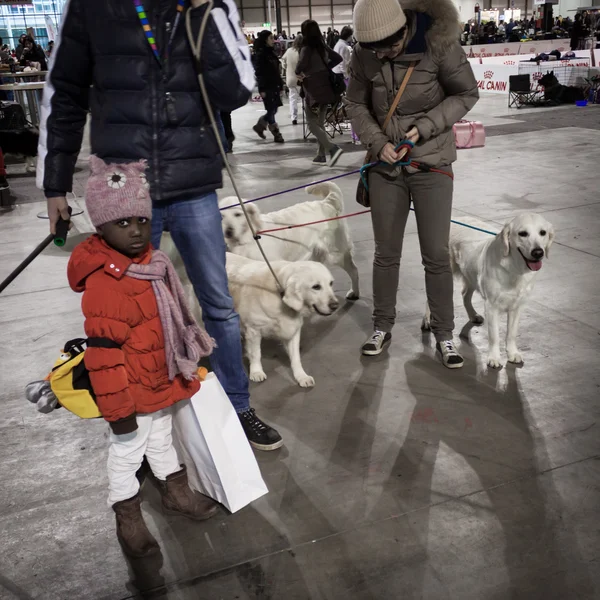People and dogs at the international dogs exhibition of Milan, Italy — Stock Photo, Image
