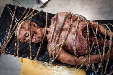 lateks cesede cartoomics 2014 Milano, İtalya