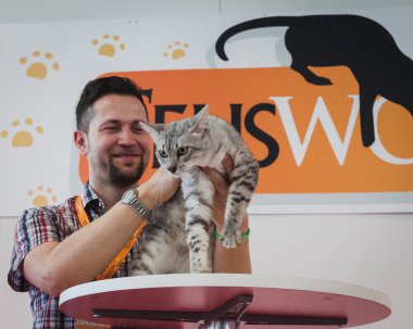güzel kedi quattrozampeinfiera Milano, İtalya