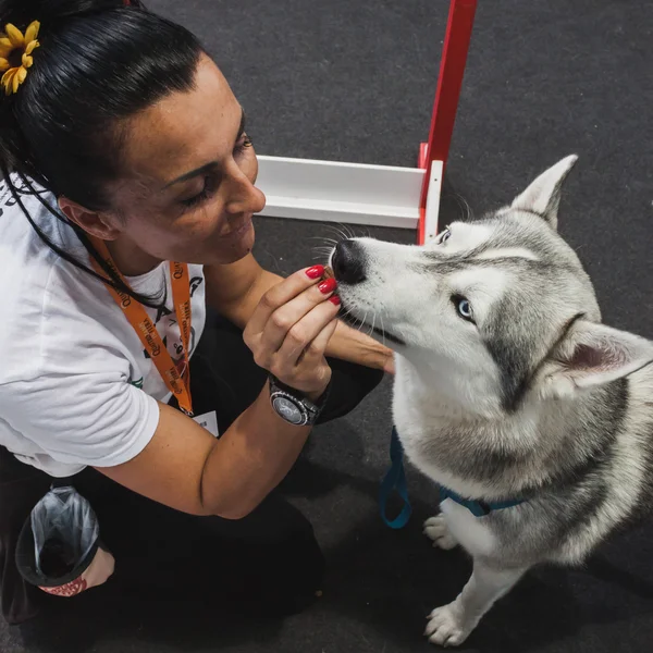 Dog and trainer at Quattrozampeinfiera in Milan, Italy