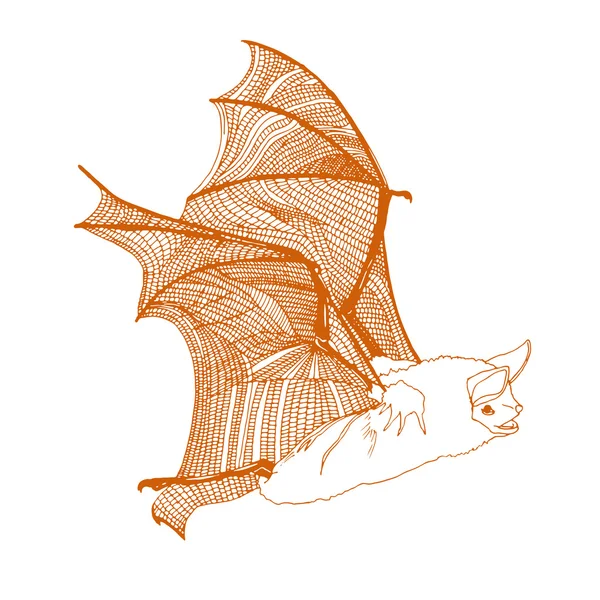 Dibujo original de murciélago naranja . — Vector de stock