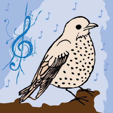 Bird- music background