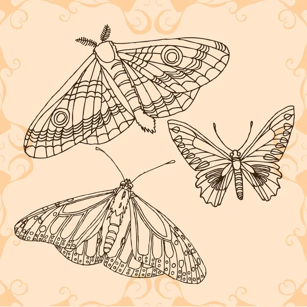 Collezione di farfalle — Vettoriale Stock