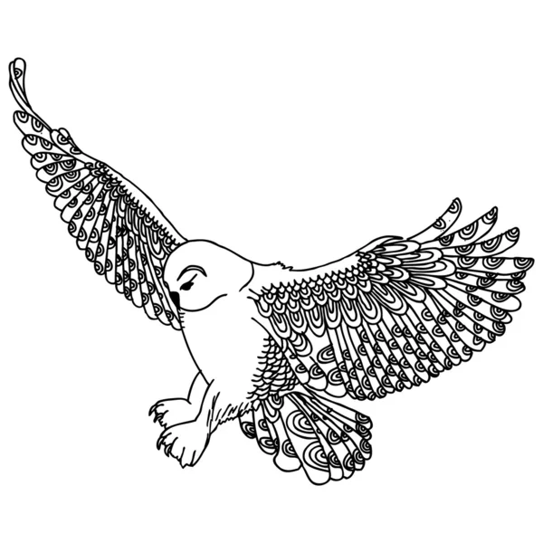 Owl flying — Stock Vector