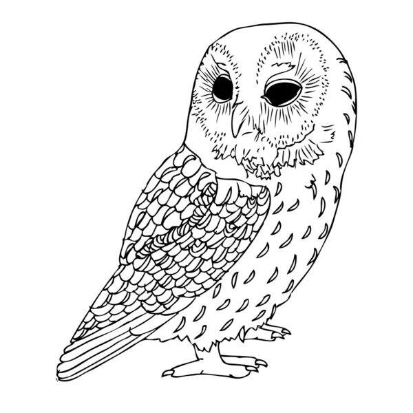 サイケデリックなフクロウストックベクター ロイヤリティフリーサイケデリックなフクロウイラスト Depositphotos