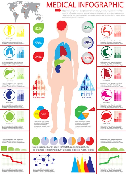 Cuerpo humano con órganos internos — Vector de stock