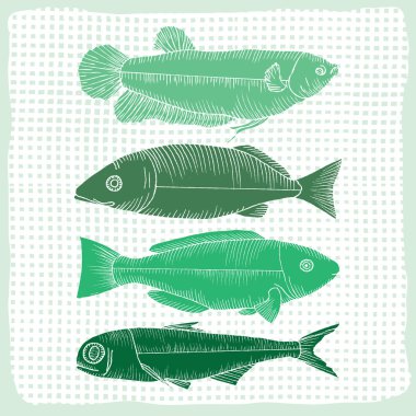 Balık çeşitli şekiller