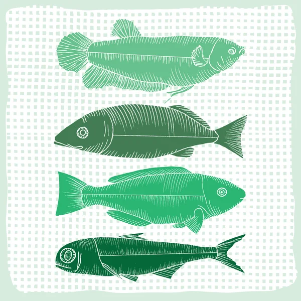 Verschiedene Formen von Fischen — Stockvektor