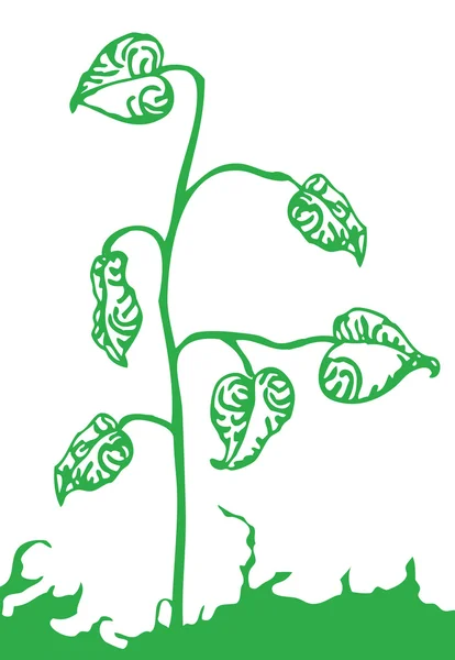 Plant illustratie — Stockvector