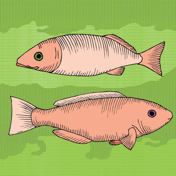 Twee vissen — Stockvector