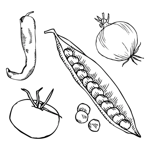 Cebola, pimenta, tomate e ervilha —  Vetores de Stock