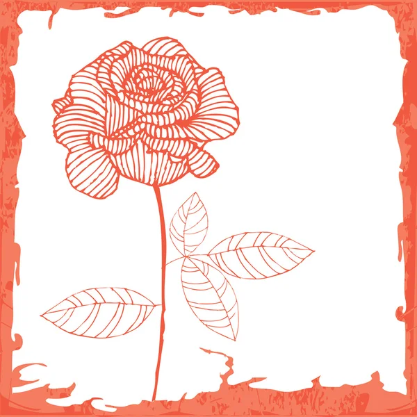 Rosa roja — Archivo Imágenes Vectoriales