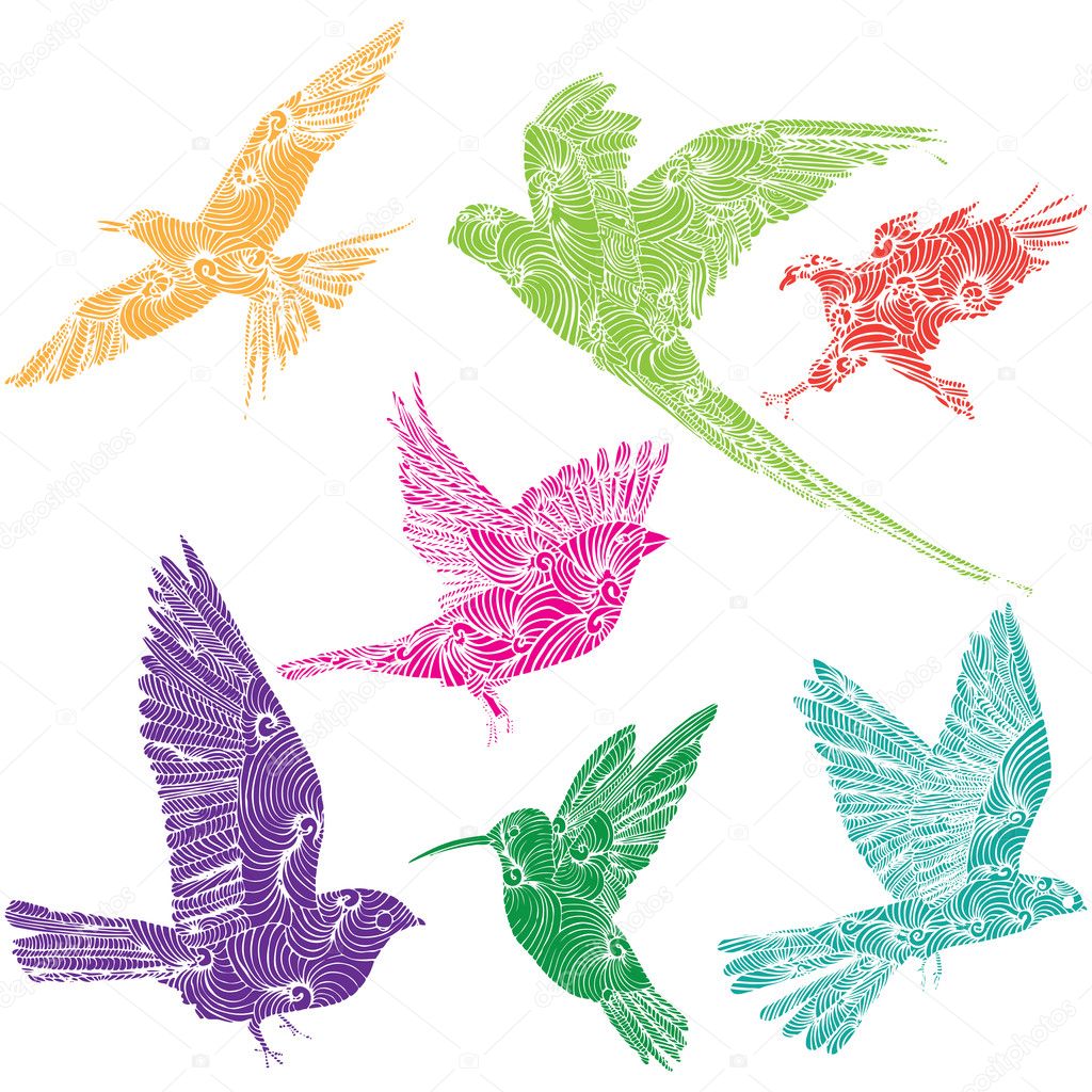 collection of flying birds