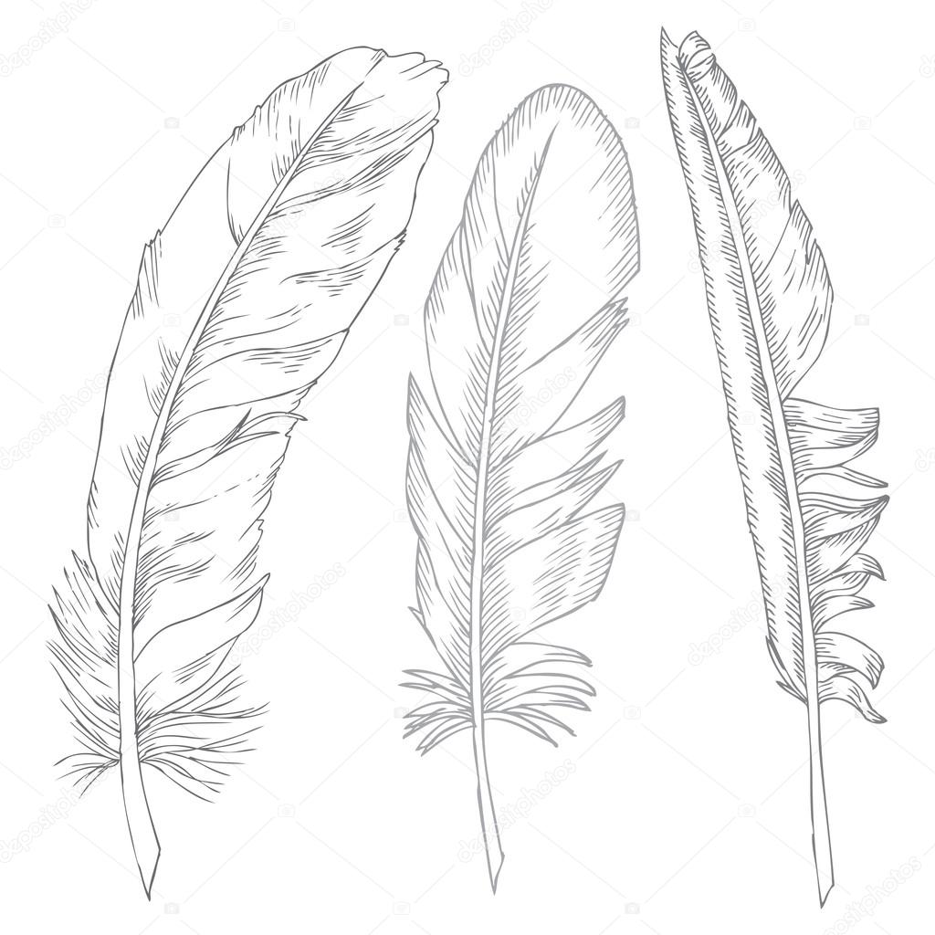 writing feathers