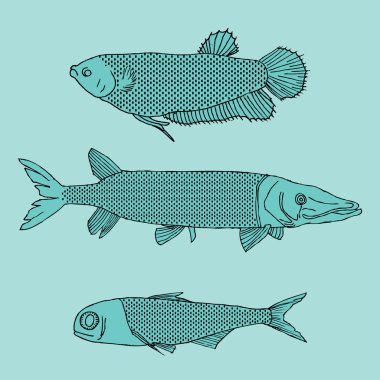 mavi arka plan üzerinde balıklar