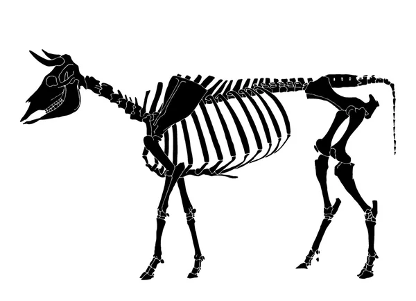 Esqueleto de vaca — Archivo Imágenes Vectoriales