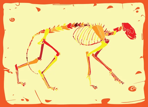 Squelette drôle de chat — Image vectorielle
