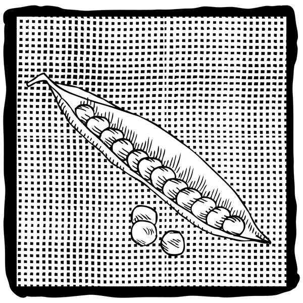 Илистрация гороха — стоковый вектор