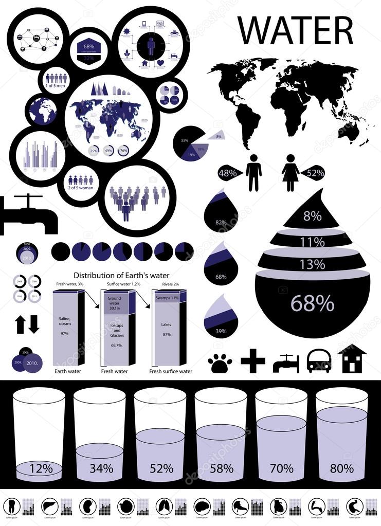 Water info graphic with internal organs