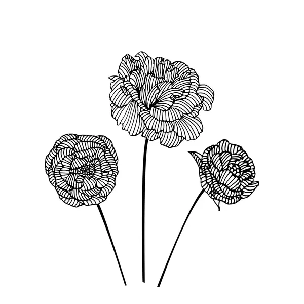 Roses noires — Image vectorielle