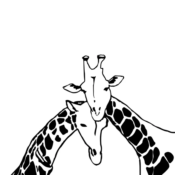 Giraffe — Vettoriale Stock