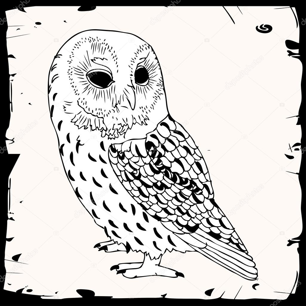 サイケデリックなフクロウストックベクター ロイヤリティフリーサイケデリックなフクロウイラスト ページ 2 Depositphotos サイケデリックなフクロウストックベクター ロイヤリティフリーサイケデリックなフクロウイラスト ページ 2 Depositphotos